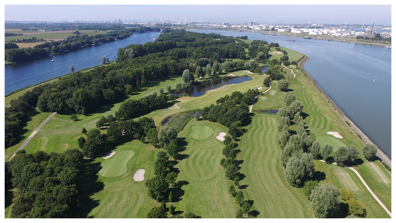 골핑 블랙프라이데이