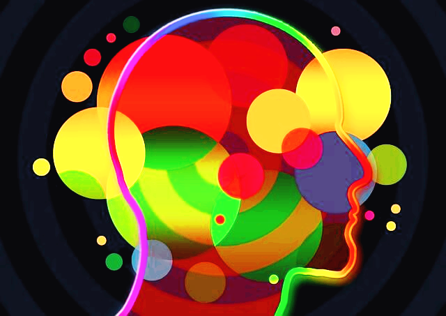 감각과 지각의 차이: 우리의 뇌는 어떻게 세상을 해석하는가?