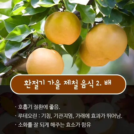 면역력 높이는 방법