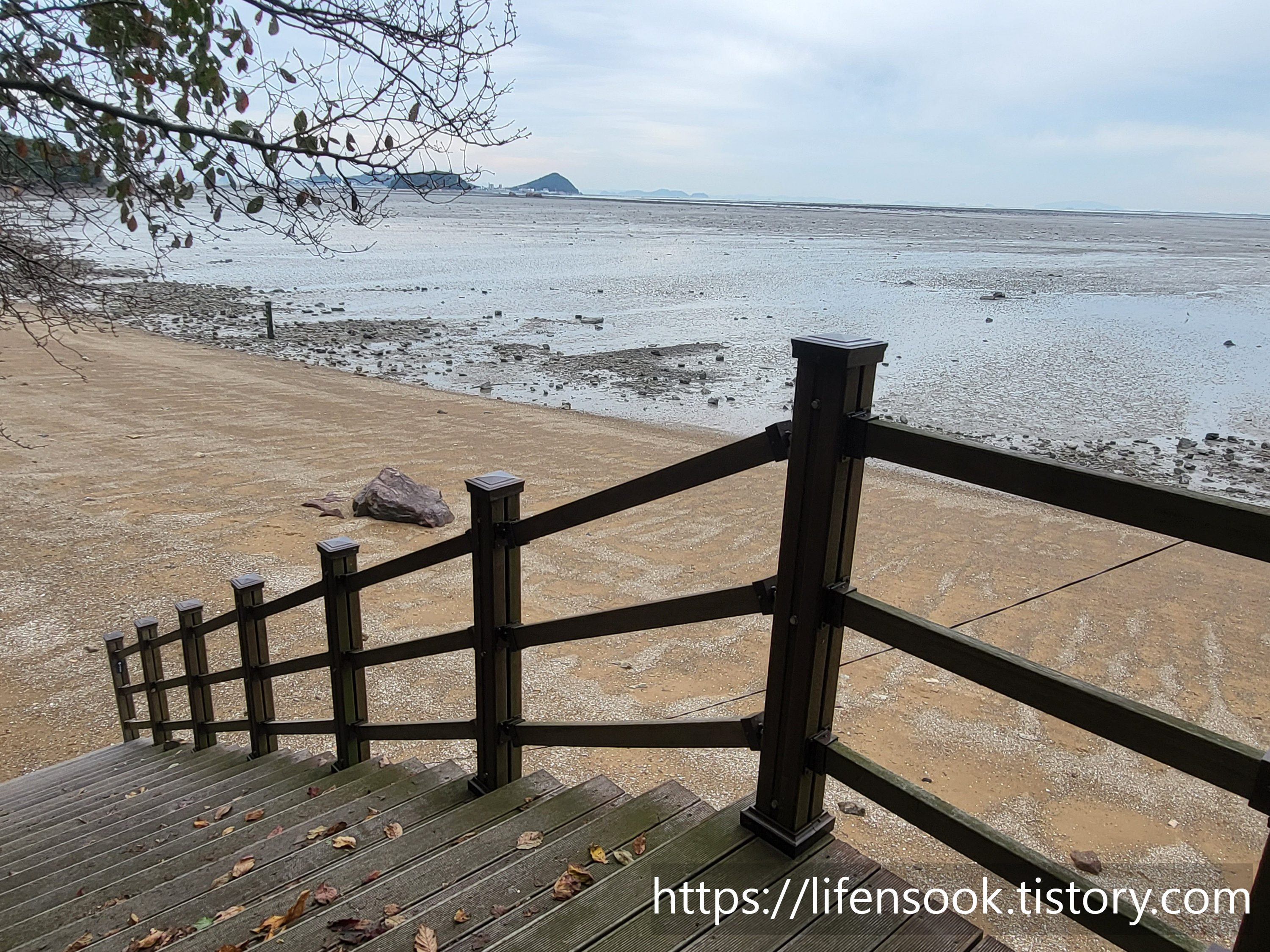 대부해솔길 6코스 해안길 2