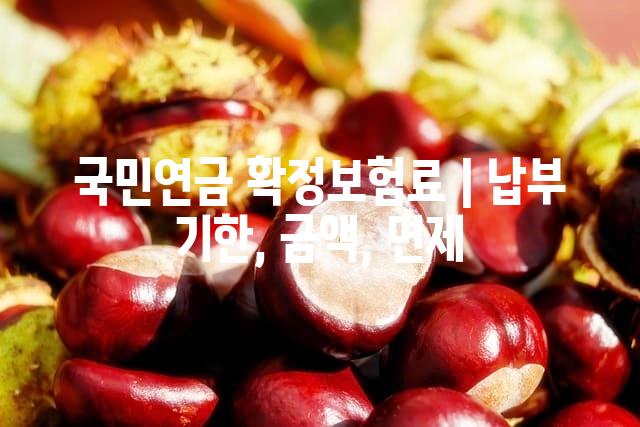 랜덤061