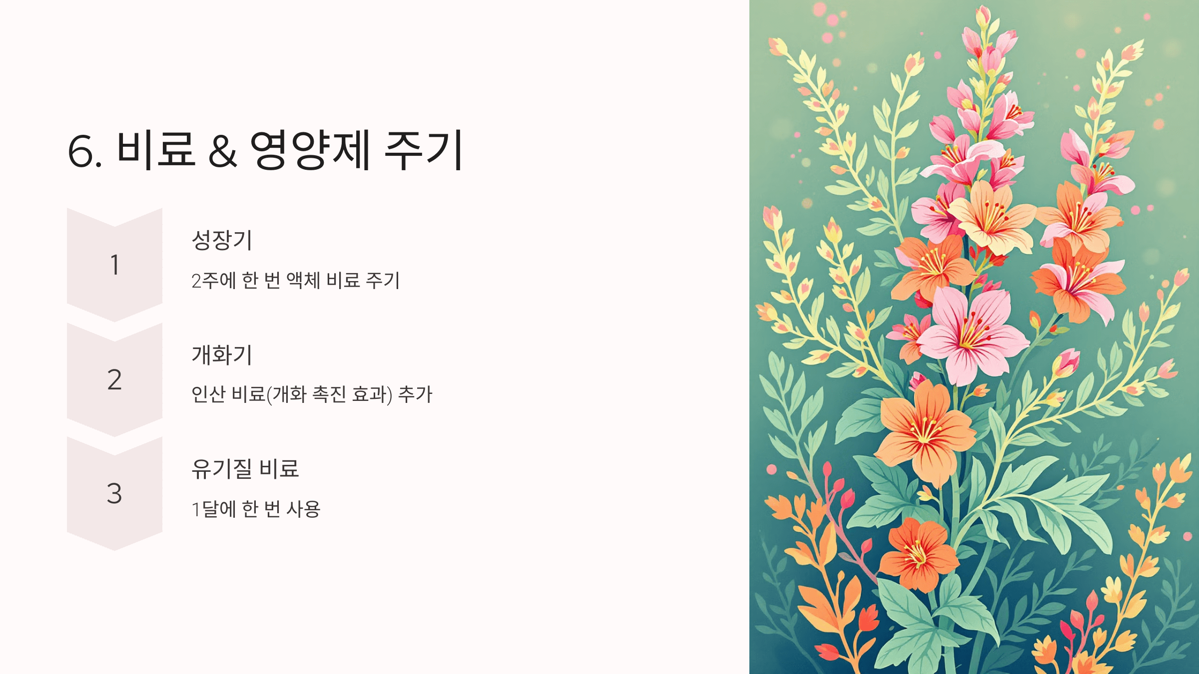 사루비아 사진입니다.