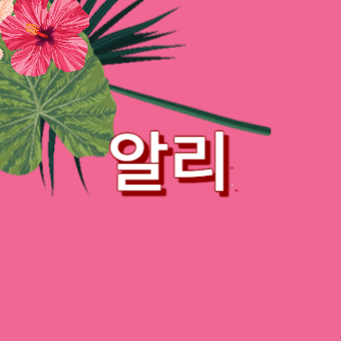 알리익스프레스