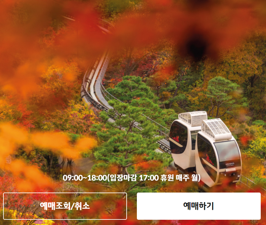 아로스 팝업