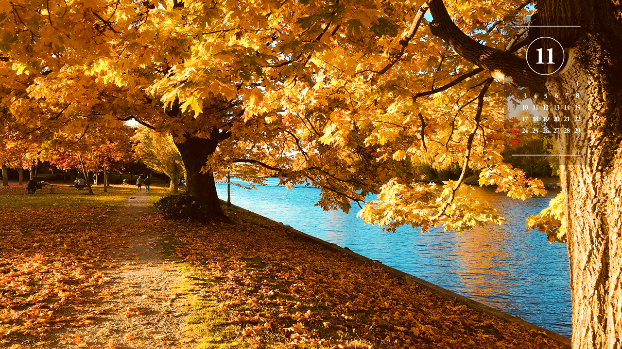 06 호숫가 단풍 A - 2025년11월 노트북배경화면