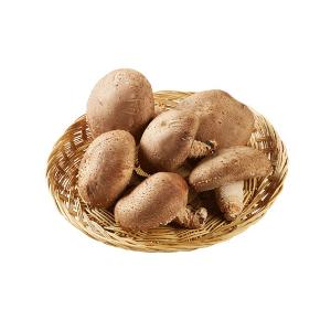 한살림 임산부꾸러미