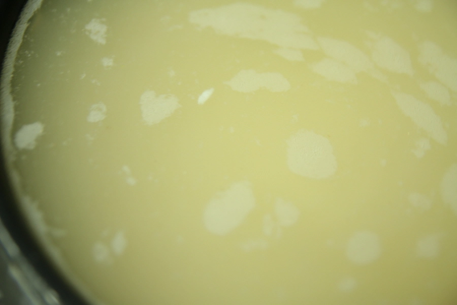 식혜 발효되는 모습