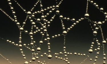 INTP 유형 특징 분석