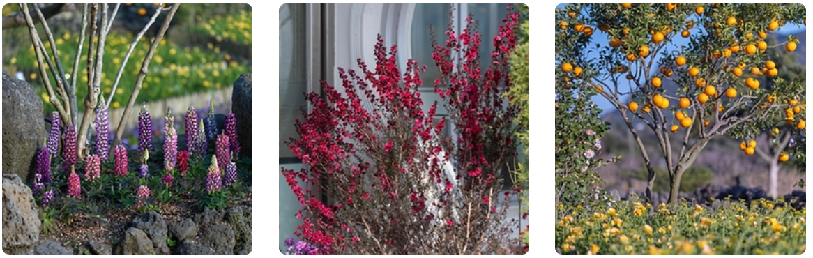 국내여행추천 11