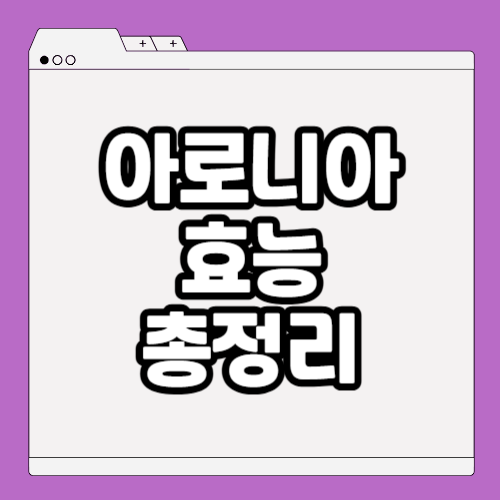 아로니아 효능