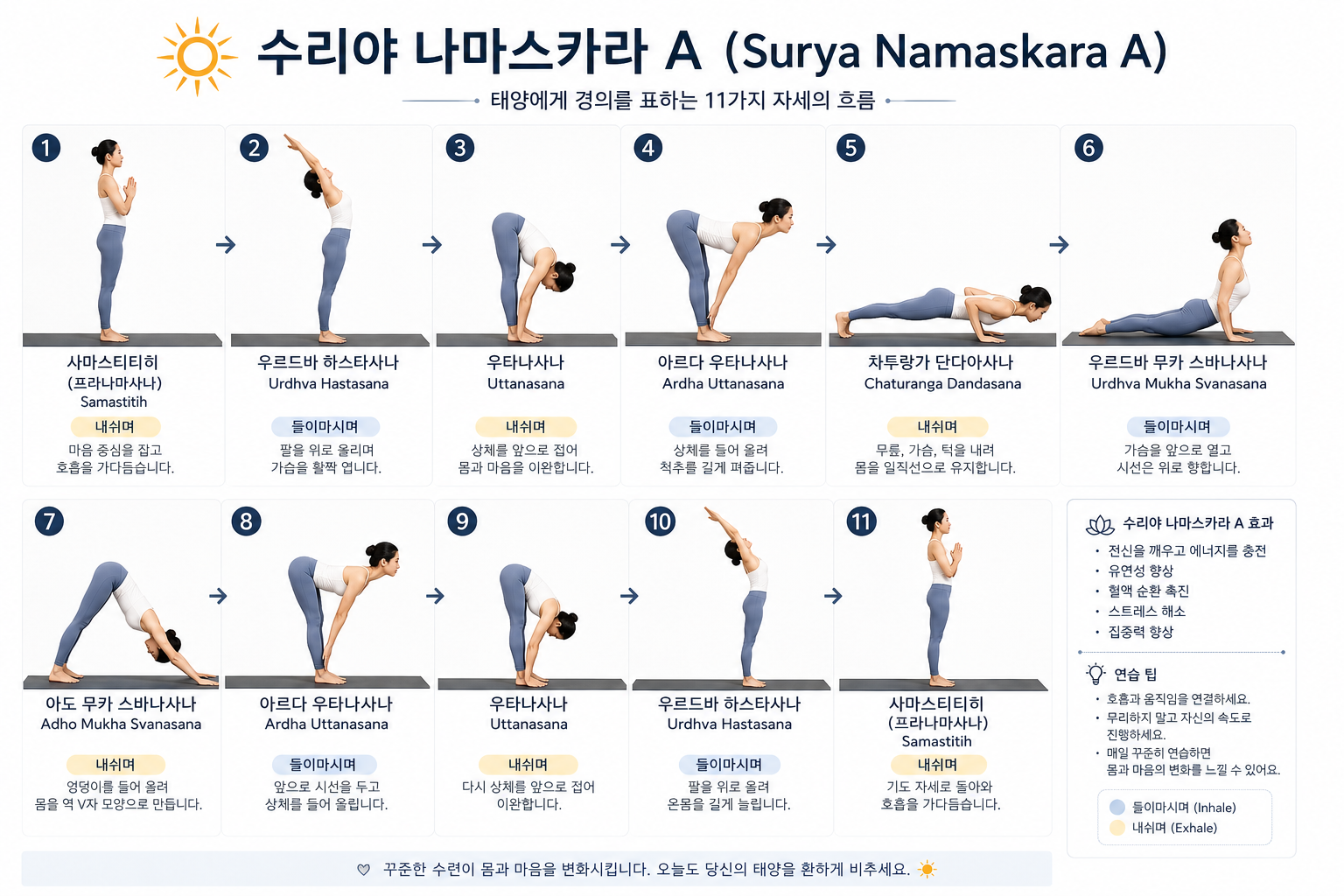 수리야 나마스카라 A 동작 순서를 보여주는 그림