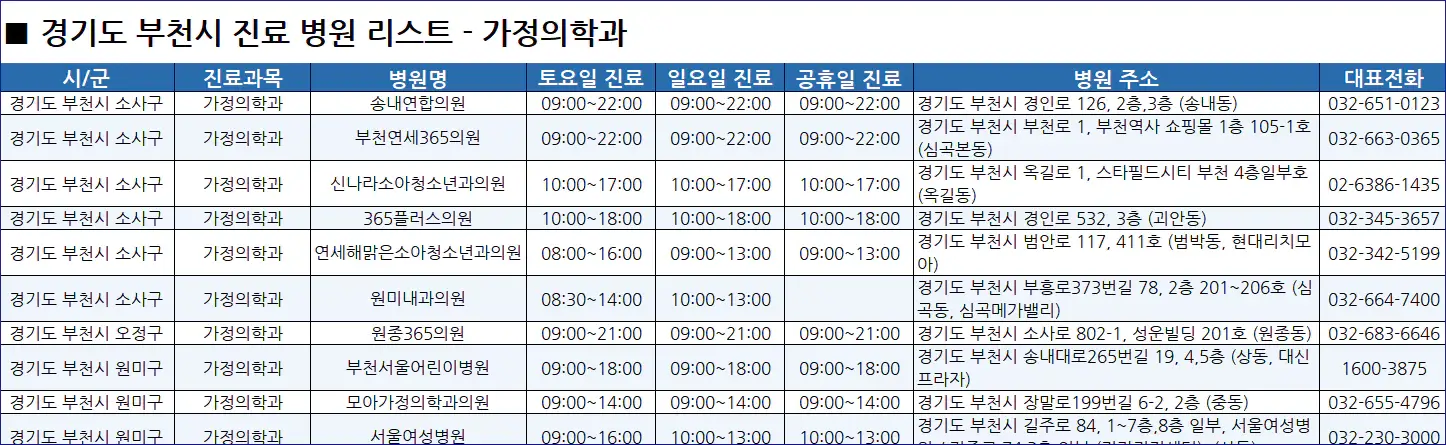 부천시-일요일-진료병원-리스트-예시