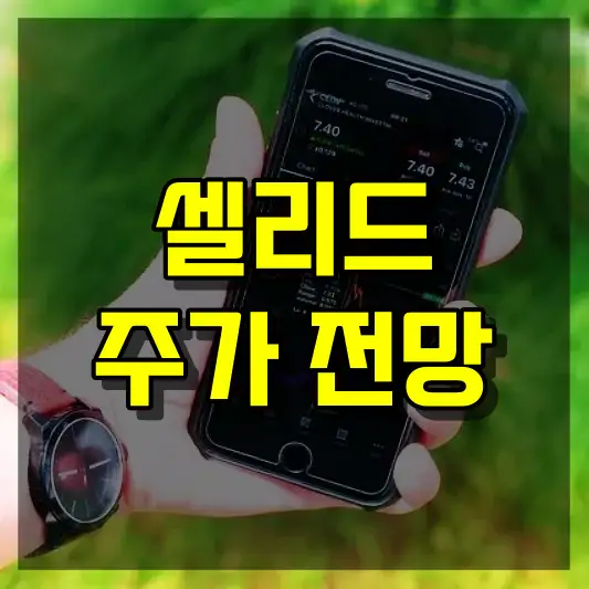 셀리드 주가 전망