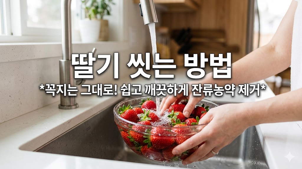 딸기 씻는 방법