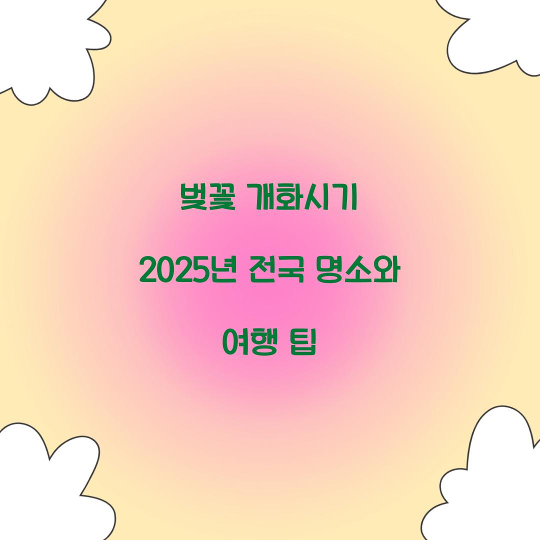 벚꽃 개화시기 2025년 전국