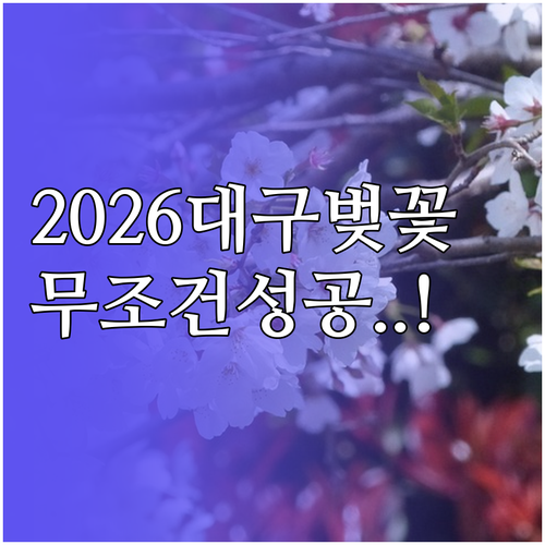 2026 대구 벚꽃 절정 시기 및 달..