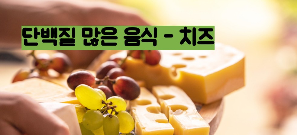 단백질 많은 음식