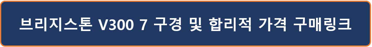 브리지스톤v3007