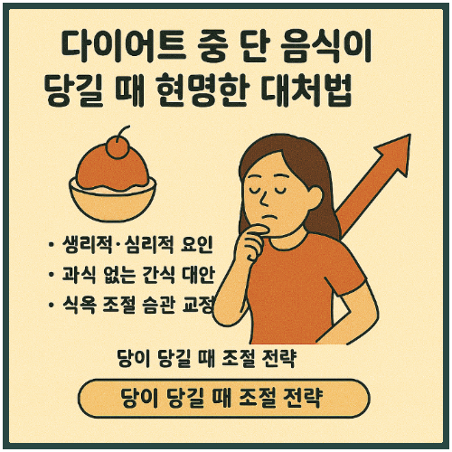 다이어트 중 단 음식이 당길 때 현명한 대처법