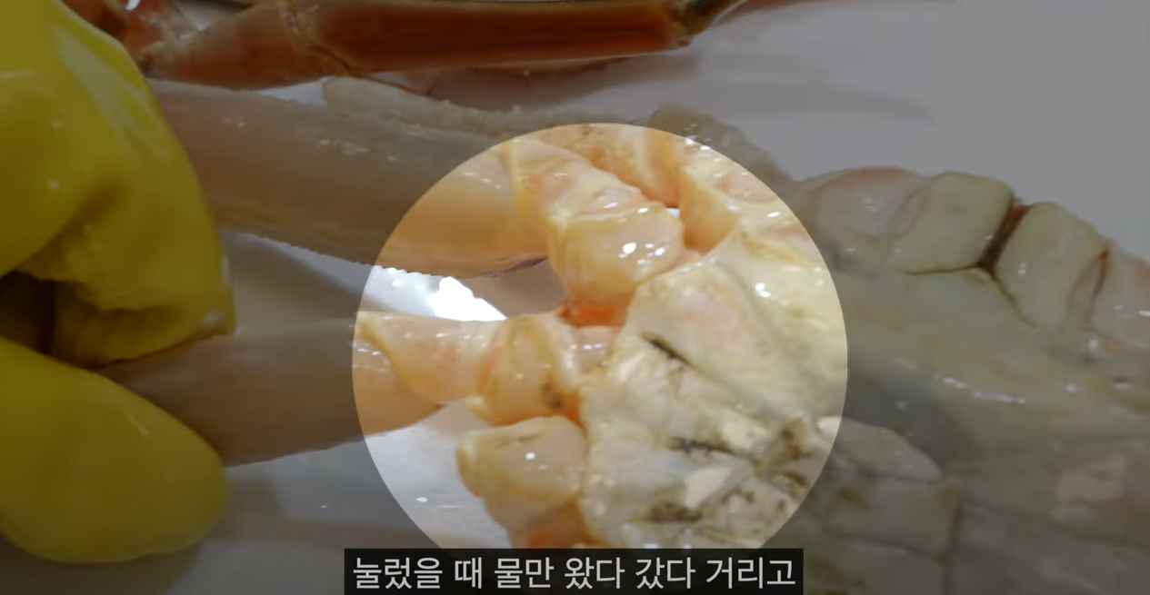 대게고르는법