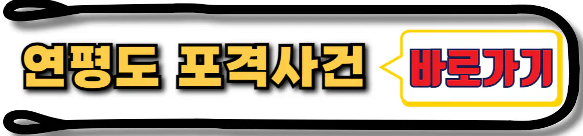연평도 포격사건