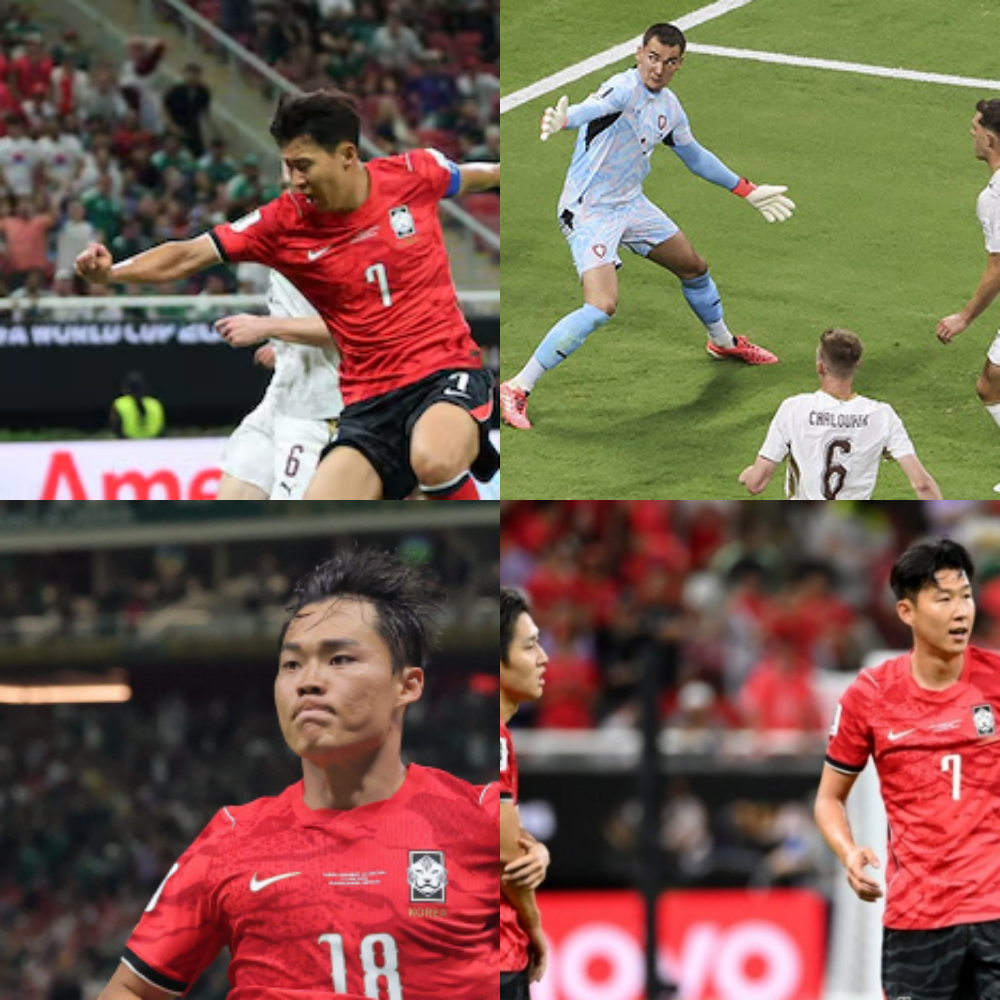 2026 북중미 월드컵