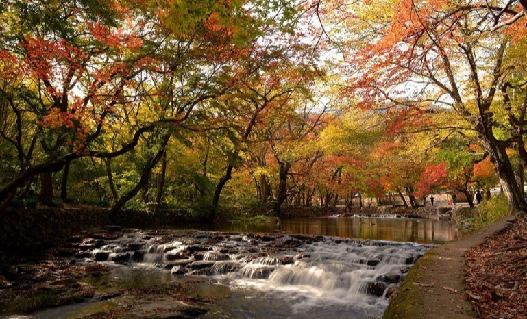 고창 선운사 단풍길