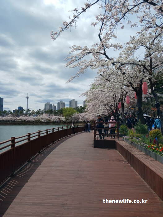 석촌호수 벚꽃 축제 라이브 공연