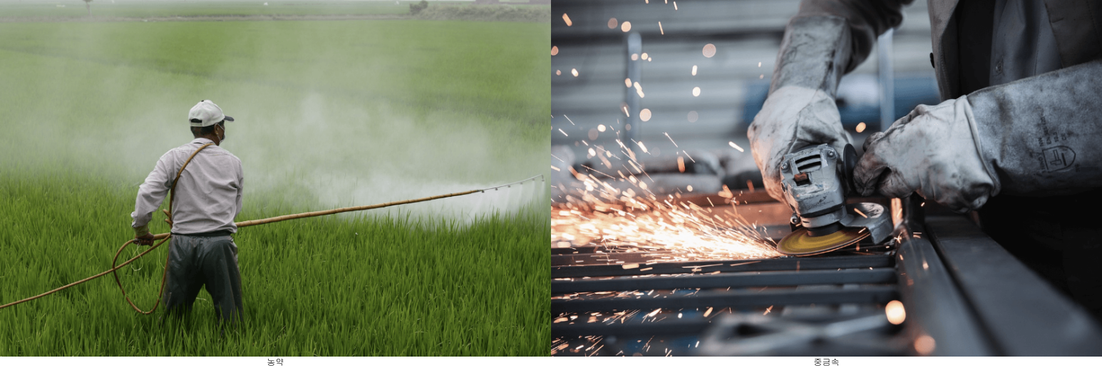 농약 및 중금속 노출