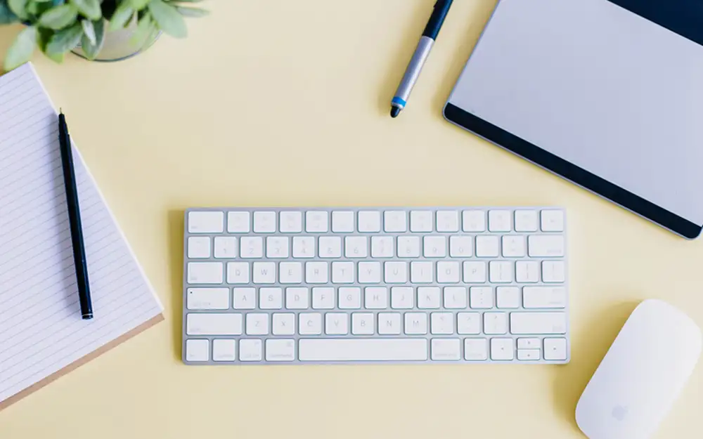 키보드와 실업급여