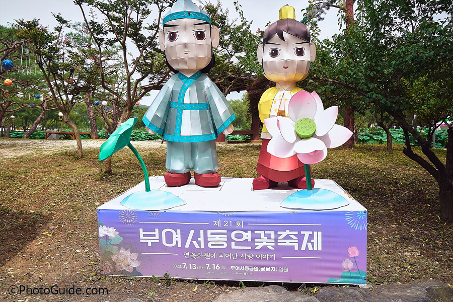 궁남지 연꽃축제ⓒPhotoGuide.com