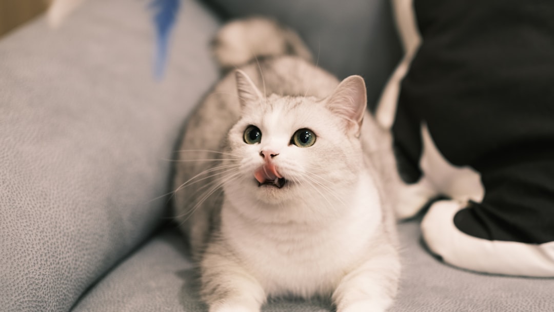 Munchkin