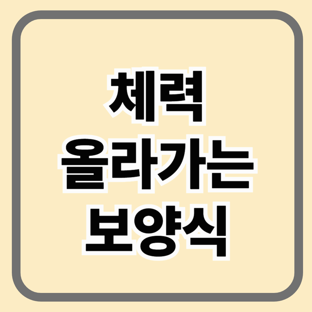 체력 올라가는 보양식