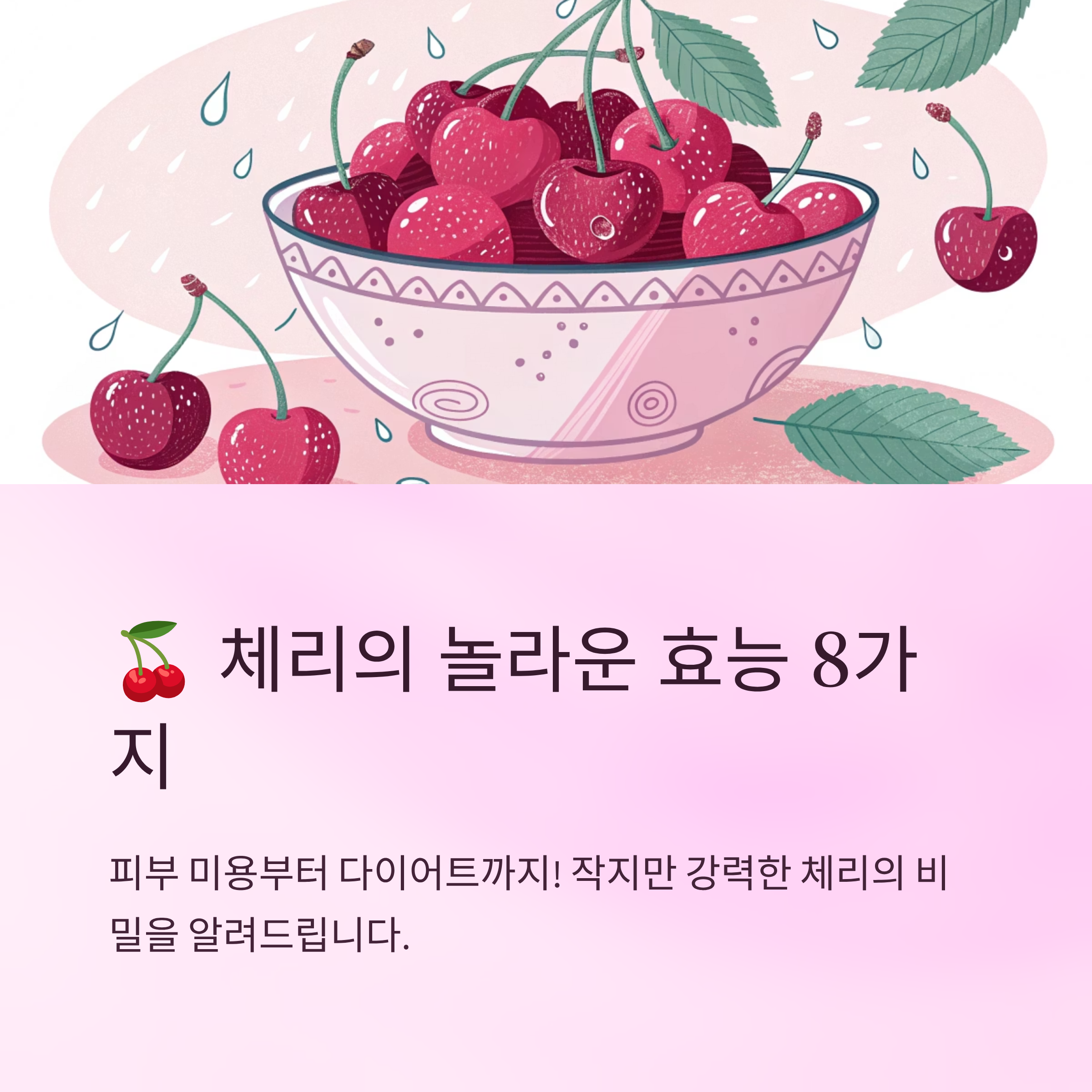 체리 효능 피부 다이어트에 좋은 과일