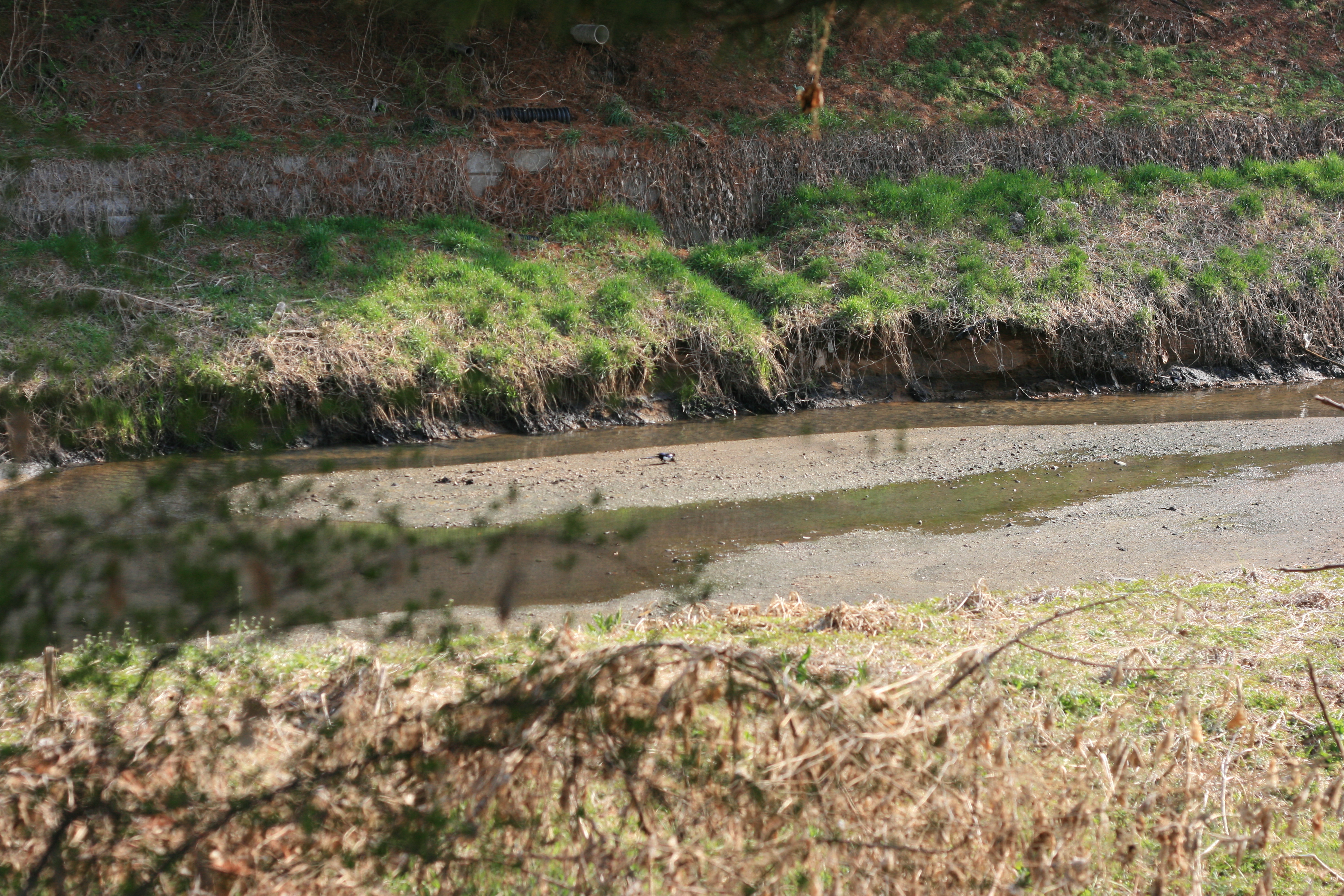 케논 400D 어떤 렌즈가 있을까?