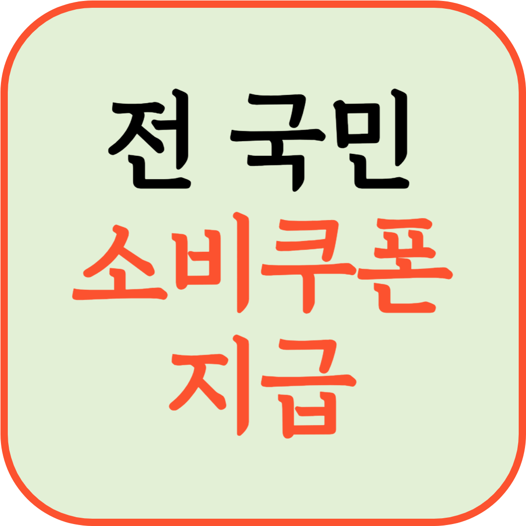 전 국민 소비쿠폰 지급