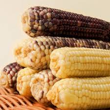 옥수수 맛있게 삶는 방법