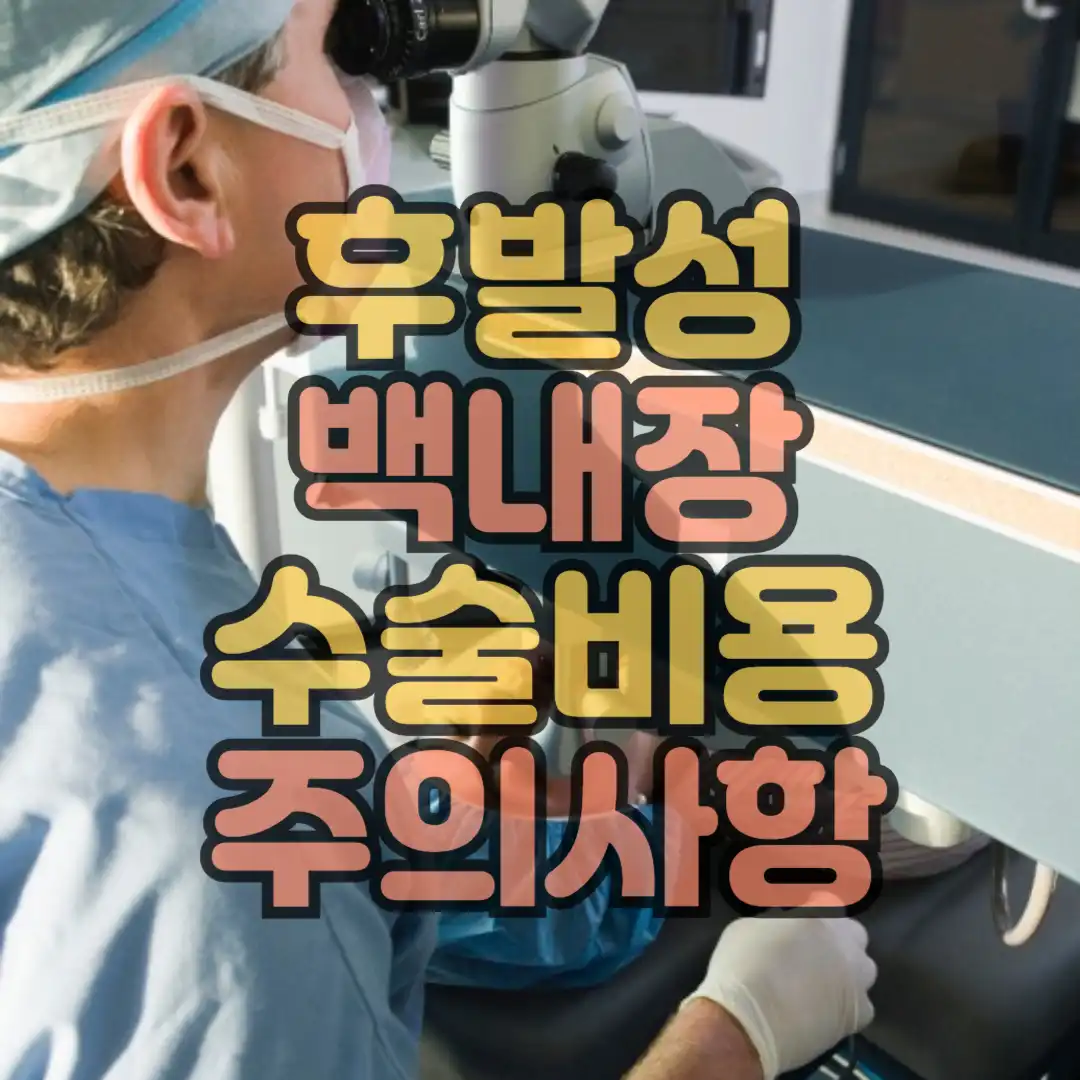 후발성 백내장 수술비용