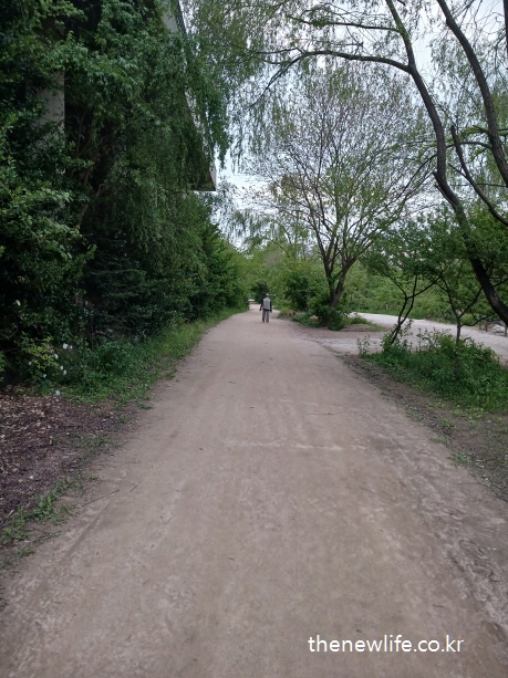 서울 여의도 샛강생태공원 흙길에서 맨발 걷기를 사람의 뒷모습