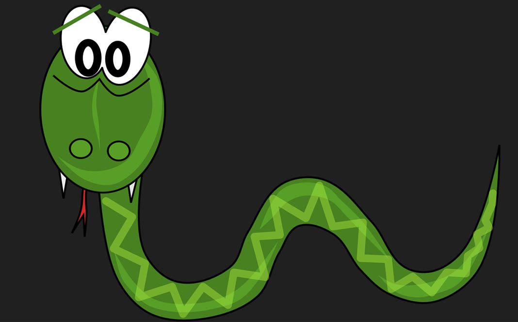 2026년 뱀띠 운세 총정리