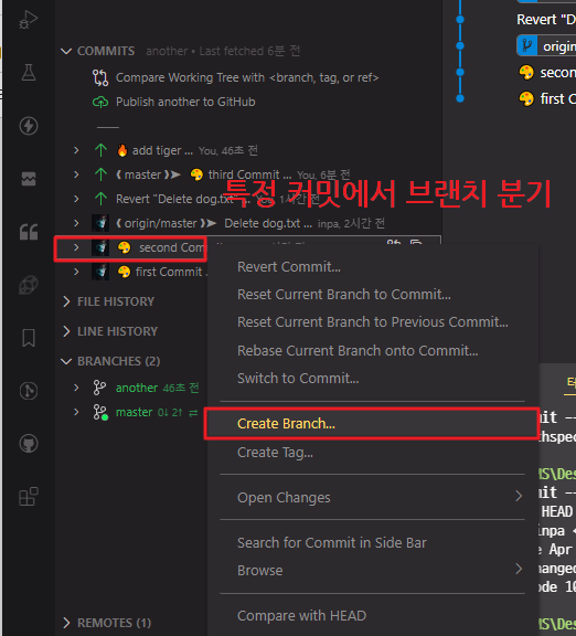 git branch / checkout