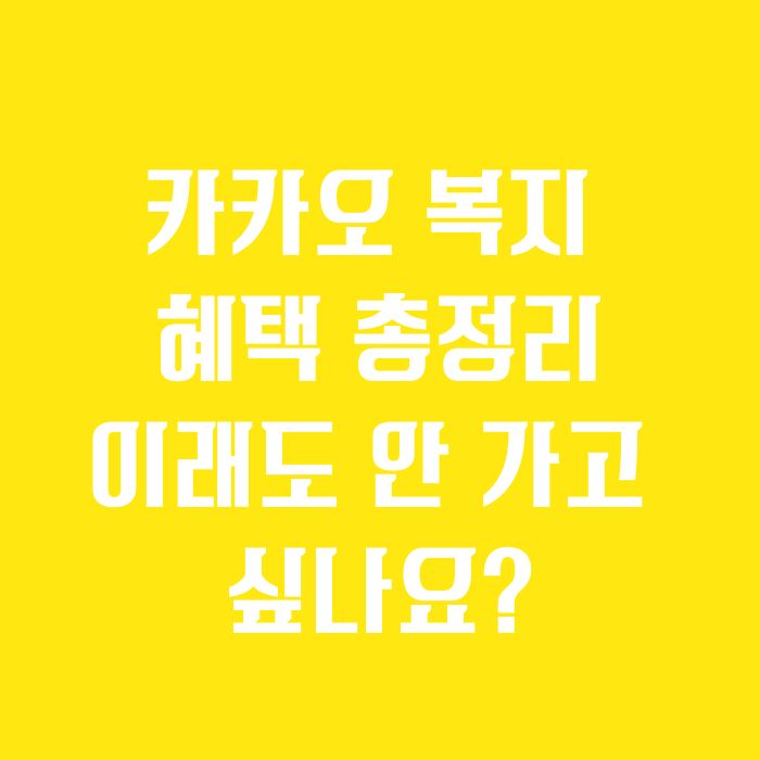 카카오 복지 혜택 총정리