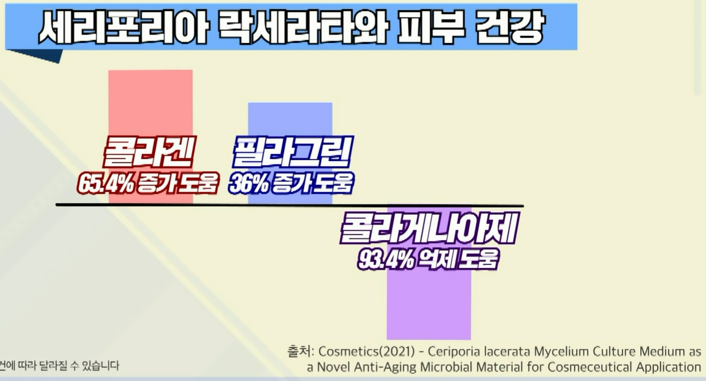 세리포리아 락세라타 효능