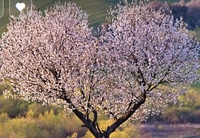 전국민 마음투자 지원사업
