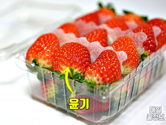 맛있는 딸기 고르는법 5,윤기 좌르륵 딸기,팁줌 매일꿀정보
