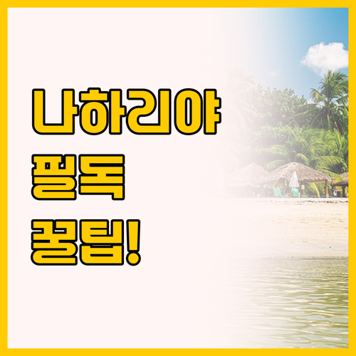 나하리야 여행 필독 돌핀 빌리지 리조..