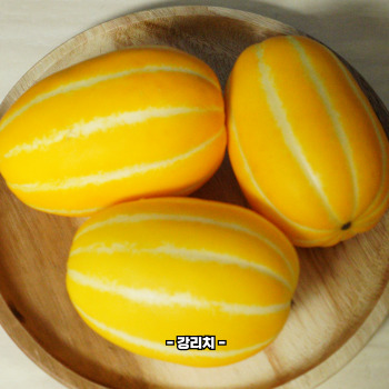 참외껍질 음식물쓰레기 인가요