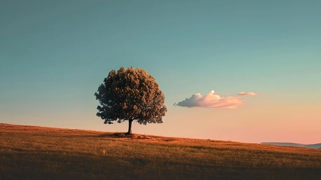 디지털 미니멀리즘과 창의력 회복의 관계