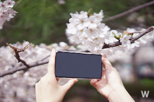 알뜰요금제 선택 7