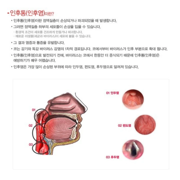 스트렙실 복용법 효과 부작용 가격 편의점 판매 약국 조회